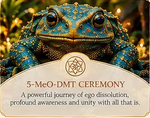 5-MeO-DMT Ceremony at Sanctuary Tulum luxury holistic retreat