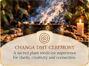 Changa DMT Ceremony at Sanctuary Tulum luxury holistic retreat