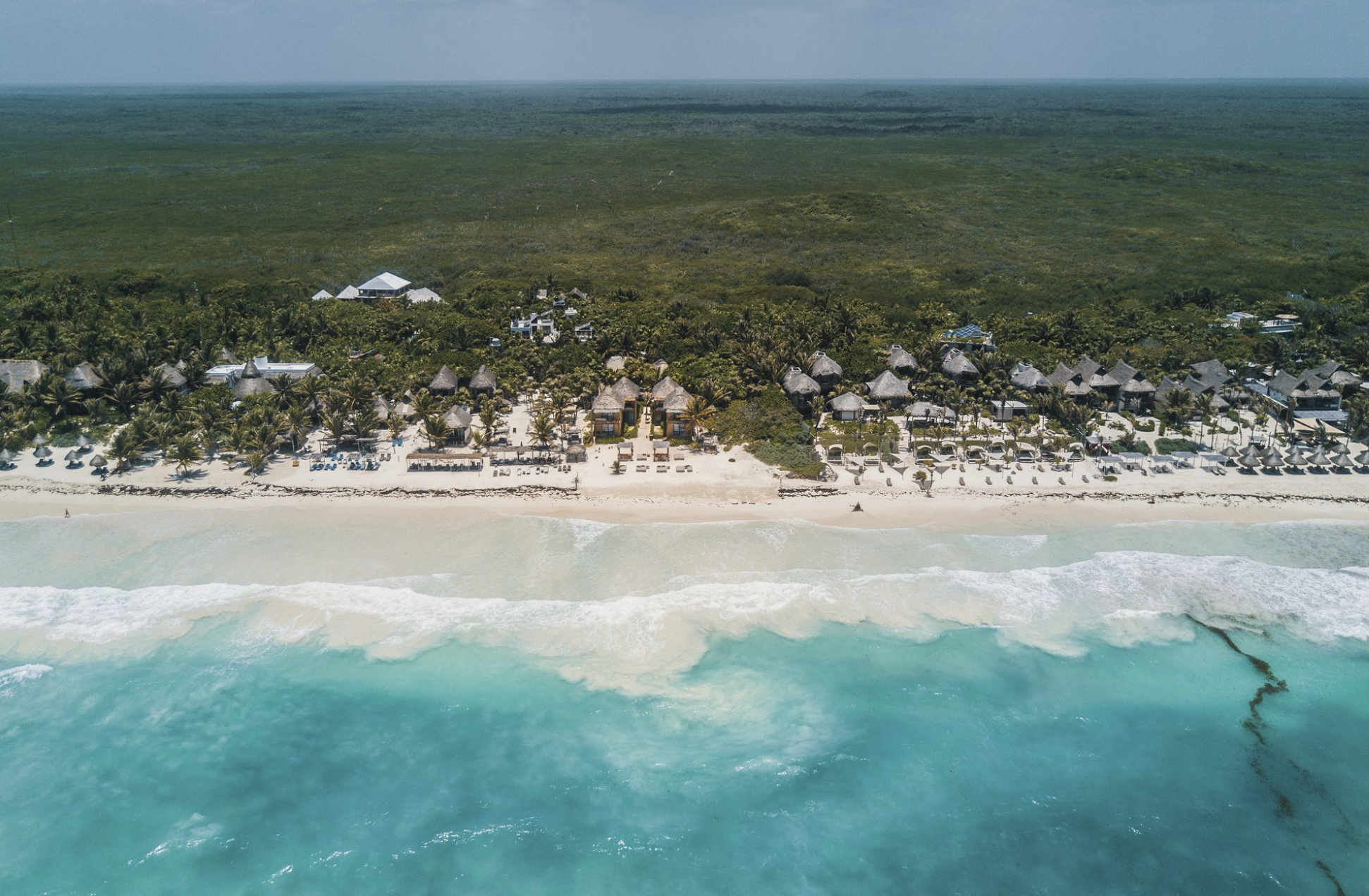 Sanctuary tulum healing center psychedelic retreats dmt